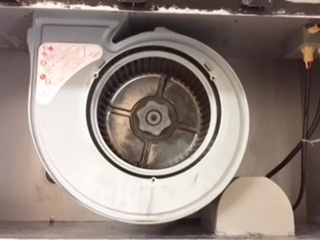 [女性スタッフが同行！] 任せて安心！細かい丁寧な作業が大好評！サービスの画像