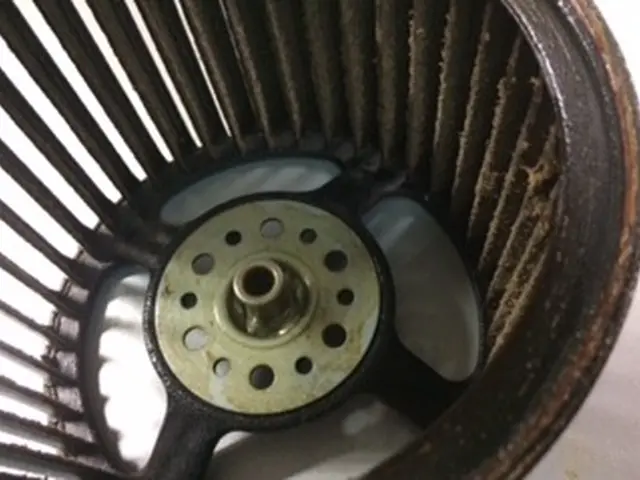 [女性スタッフが同行！] 任せて安心！細かい丁寧な作業が大好評！サービスの画像