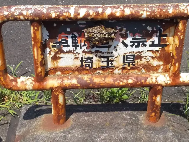 ＜ハチ全般駆除、予防＞ご希望の日時に合わせますのでお気軽にご相談ください！サービスの画像