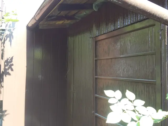 ＜ハチ全般駆除、予防＞ご希望の日時に合わせますのでお気軽にご相談ください！サービスの画像