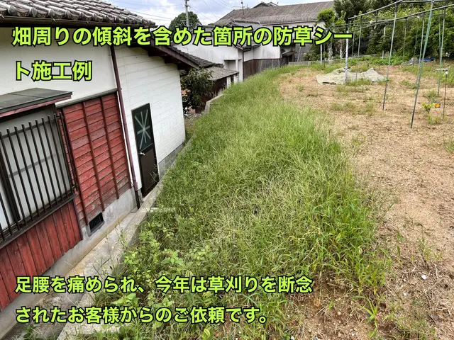 冬場の施工がオススメ！草刈り→防草シート→砂利敷きおまとめ施工可←更に防草効果◎サービスの画像