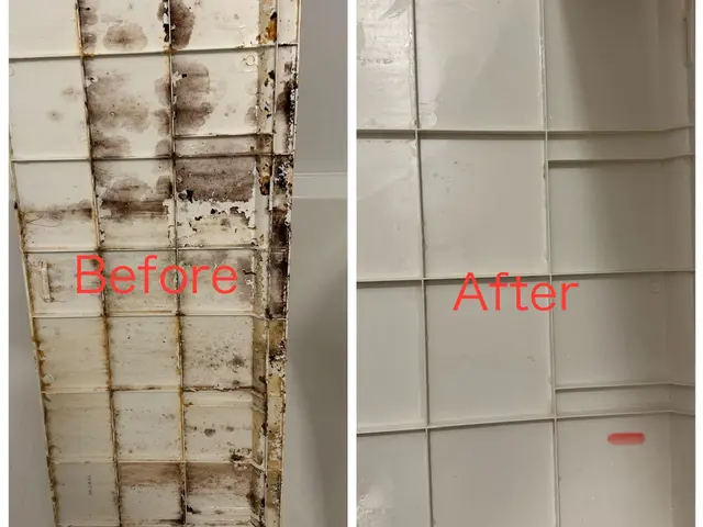 【業界歴10年、月30件の実績】子供4人のお父さんがお家を綺麗にします！サービスの画像