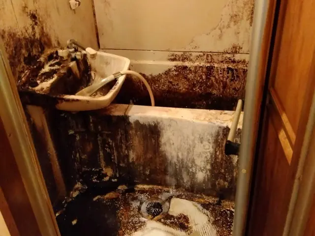 お客様のお力になります！経験と知識を活かして迅速丁寧に作業いたしますサービスの画像