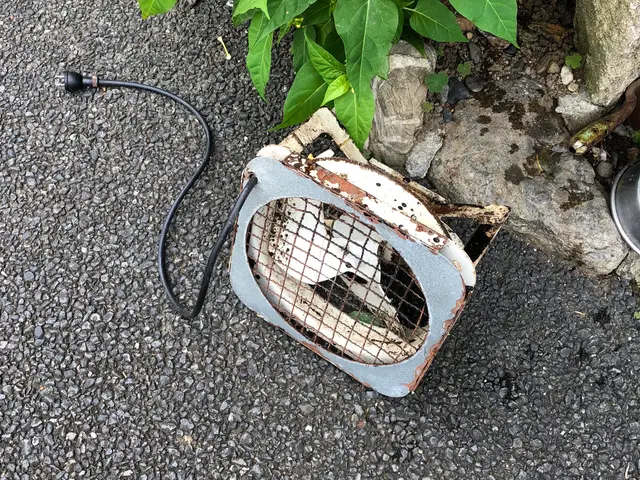 【ハウスクリーニング技能士在籍】業界歴14年の実績☆年中無休営業◎すべて自社対応サービスの画像