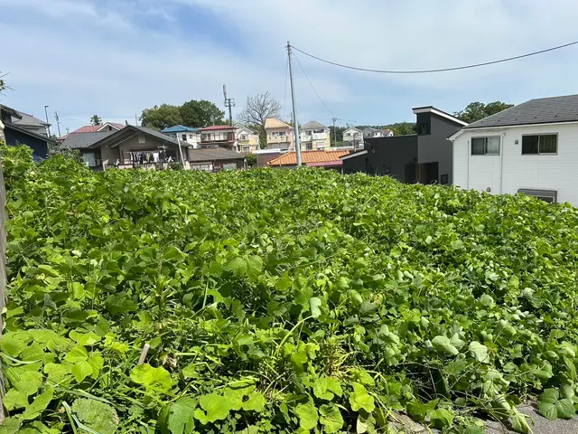 迅速・丁寧な対応◉草刈り機使用で広範囲の除草作業をサクッと作業！サービスの画像