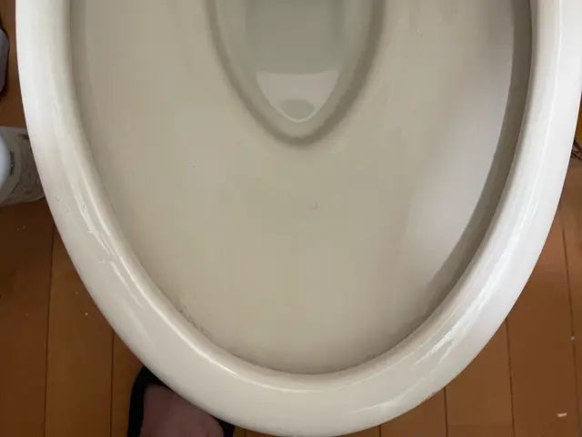 【4月分受付中】特別価格でご案内！サービスの画像