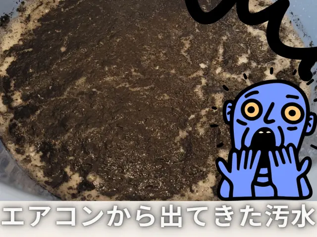 【口コミ欄必見！！】掃除が楽しくって仕方ない女性店主が贈るエアコンクリーニング！サービスの画像