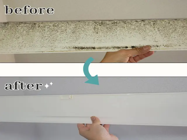 【口コミ欄必見！！】掃除が楽しくって仕方ない女性店主が贈るエアコンクリーニング！サービスの画像