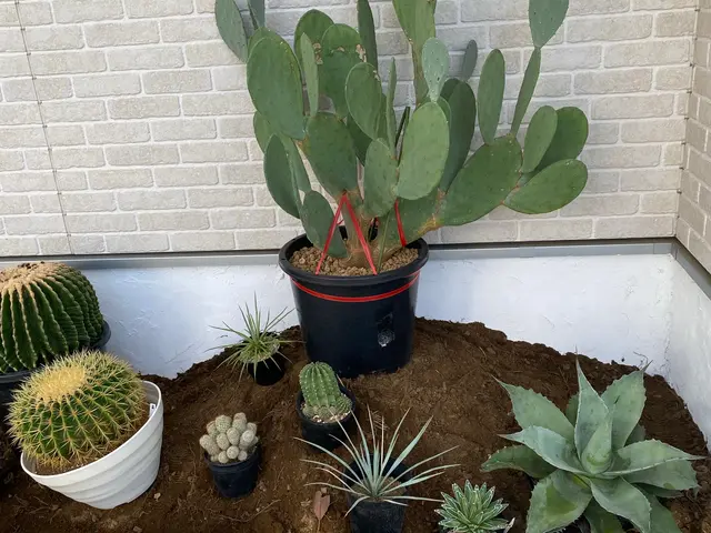 お客様のお力になります！経験と知識を活かして迅速丁寧に作業いたしますサービスの画像