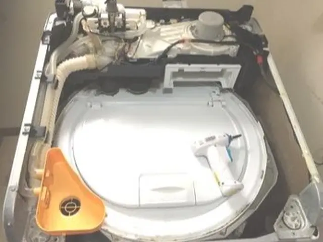 安心の洗濯機クリーニングサービスの画像