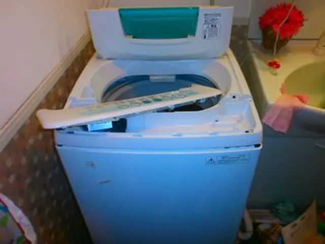 安心の洗濯機クリーニングサービスの画像
