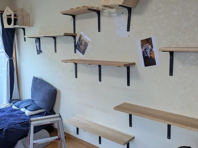 壁掛けシェルフや住宅オプションの設置、取り付け承ります。キャットウォークもOKサービスの画像