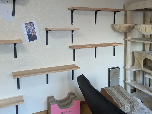 壁掛けシェルフや住宅オプションの設置、取り付け承ります。キャットウォークもOKサービスの画像