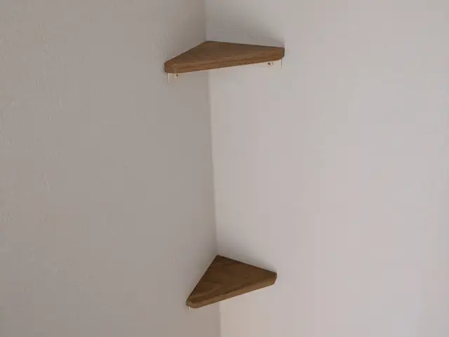 壁掛けシェルフや住宅オプションの設置、取り付け承ります。キャットウォークもOKサービスの画像