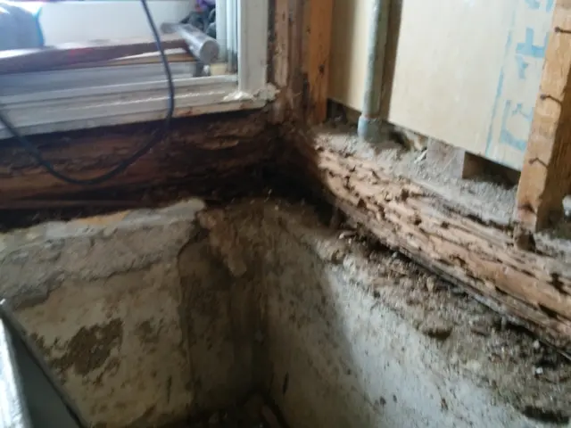 白蟻防除消毒【年中無休】土日祝もご予約大歓迎！業歴20年の経験と実績！サービスの画像