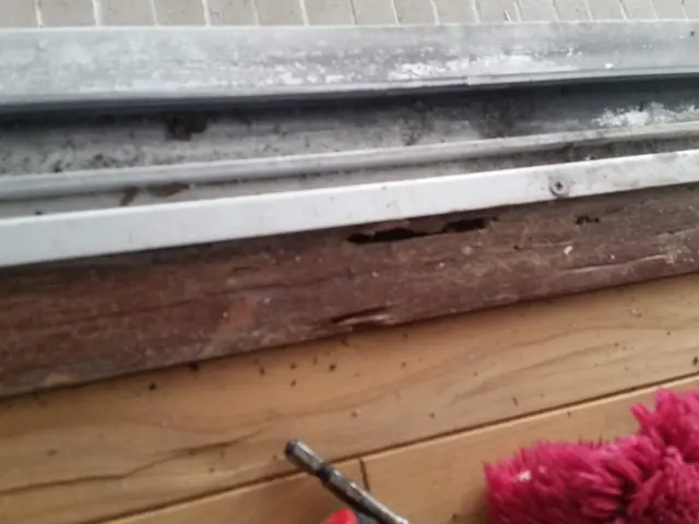 白蟻防除消毒【年中無休】土日祝もご予約大歓迎！業歴20年の経験と実績！サービスの画像