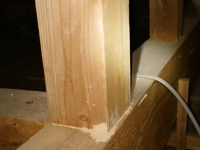 白蟻防除消毒【年中無休】土日祝もご予約大歓迎！業歴20年の経験と実績！サービスの画像