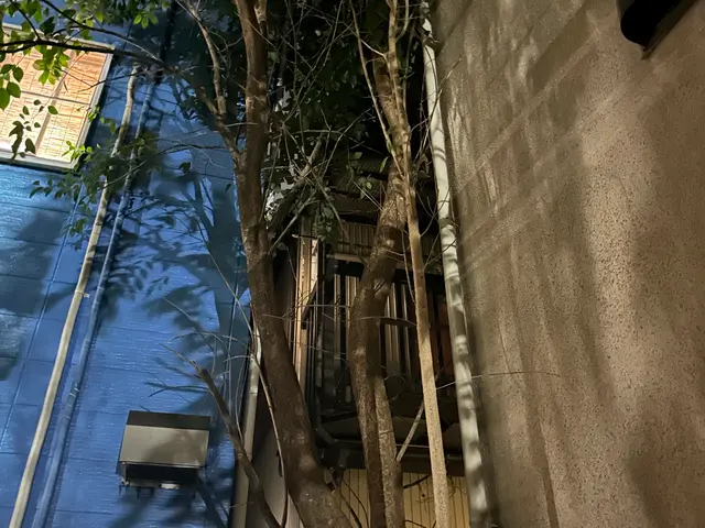 作業前に御神酒でお清め、木に対して敬意を持って作業させていただきますサービスの画像