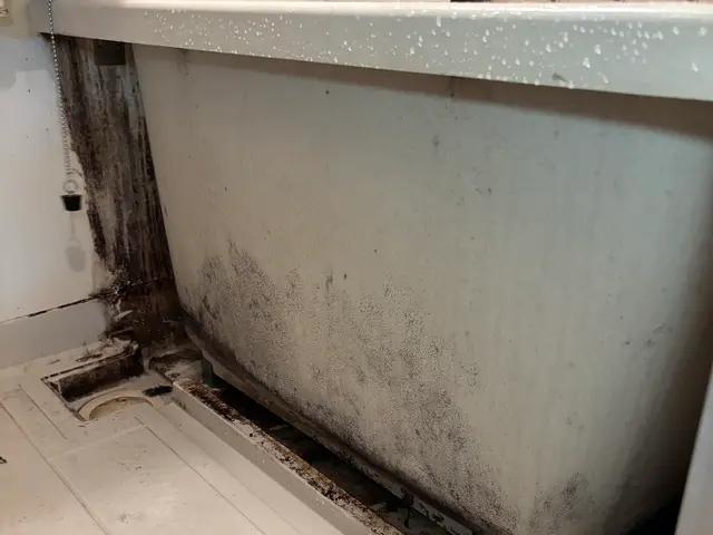 浴室掃除　クリーニングサービスの画像