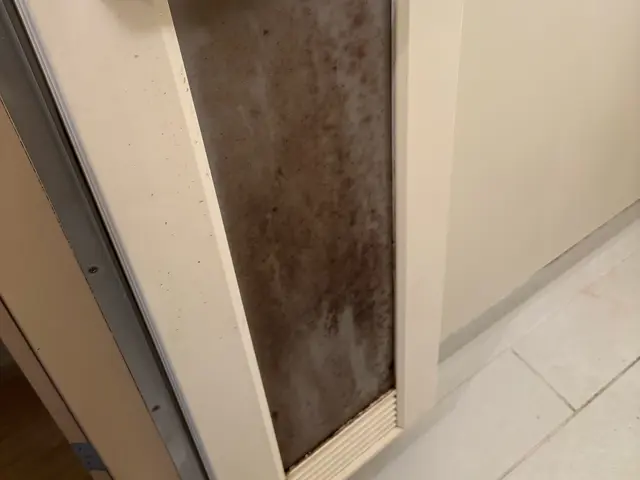 浴室掃除　クリーニングサービスの画像