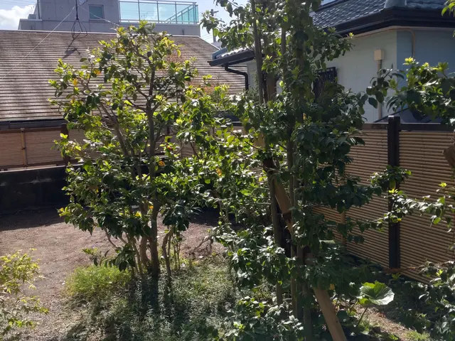 ◆職人歴33年の実績◆1級造園施工管理技士◆1級エクステリアプランナーサービスの画像