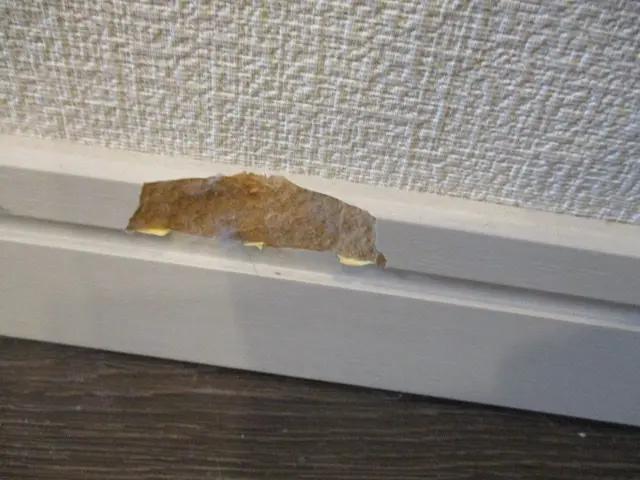 店長が必ずお伺い！作業外注一切なし。店長による安心の丁寧施工サービスの画像