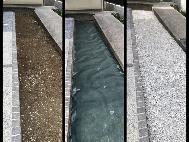 新年を綺麗なお庭で迎えませんか？お庭のことなら庭　翔黒にお任せください。サービスの画像