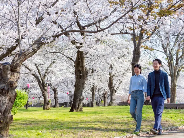 『80枚以上納品』『アルバム作成対応』『和傘レンタル無料！』