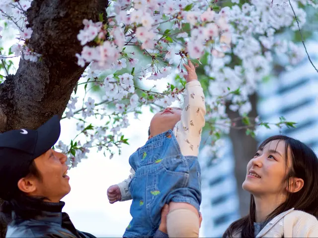 『80枚以上納品』『アルバム作成対応』『和傘レンタル無料！』