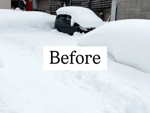 【大型・小型除雪機あり】★女性スタッフ同行可★損害保険加入済★助成金申請代行可サービスの画像