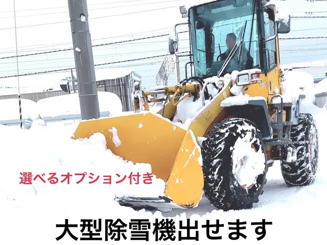 【大型・小型除雪機あり】★女性スタッフ同行可★損害保険加入済★助成金申請代行可サービスの画像