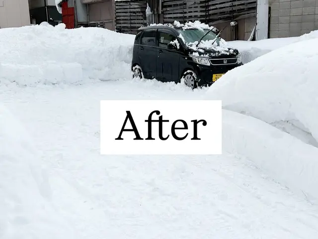 【大型・小型除雪機あり】★女性スタッフ同行可★損害保険加入済★助成金申請代行可サービスの画像