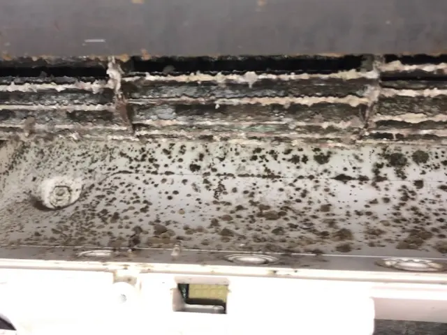 【11月中限定に注文で8000円→7000円現金払い限定抗菌コート無料★☆】サービスの画像