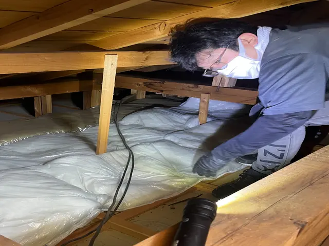 【害獣レスキュー24】◎誠実駆除◎安心と清潔をお届けするプロの訪問サービスサービスの画像