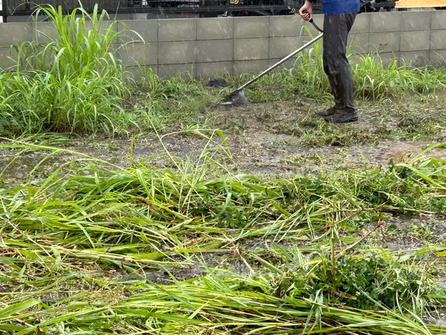 毎年実績300件以上！お庭、空き家、空き地の草刈りは「熊本の便利屋さんスケット」サービスの画像