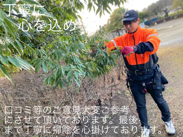 年末までまだ間に合う！元大手造園職人が庭木を丁寧に剪定・伐採し、美しく整えます。サービスの画像