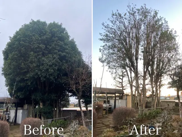 【4月中お値引き有り】技術に自信有り4/21㈫25㈯26㈰27㈪29㈬←対象日サービスの画像