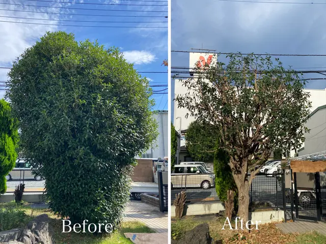 年末までまだ間に合う！元大手造園職人が庭木を丁寧に剪定・伐採し、美しく整えます。サービスの画像