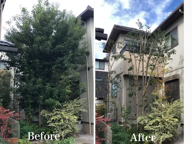 年末までまだ間に合う！元大手造園職人が庭木を丁寧に剪定・伐採し、美しく整えます。サービスの画像