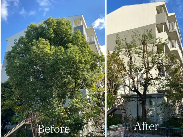 年末までまだ間に合う！元大手造園職人が庭木を丁寧に剪定・伐採し、美しく整えます。サービスの画像