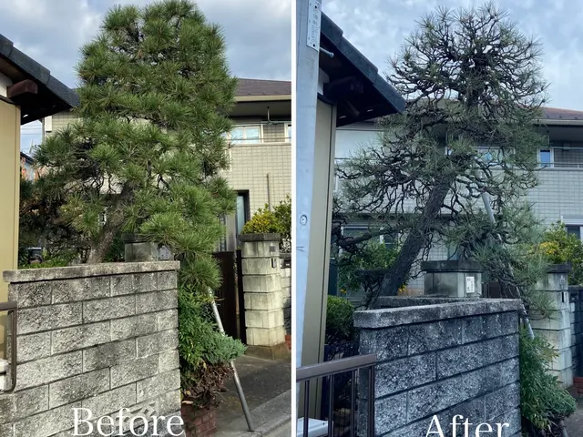 年末までまだ間に合う！元大手造園職人が庭木を丁寧に剪定・伐採し、美しく整えます。サービスの画像