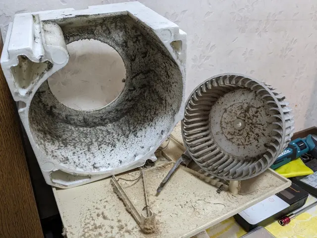 《年中無休》大阪市浪速区から伺います！女性スタッフのみで作業可◎サービスの画像