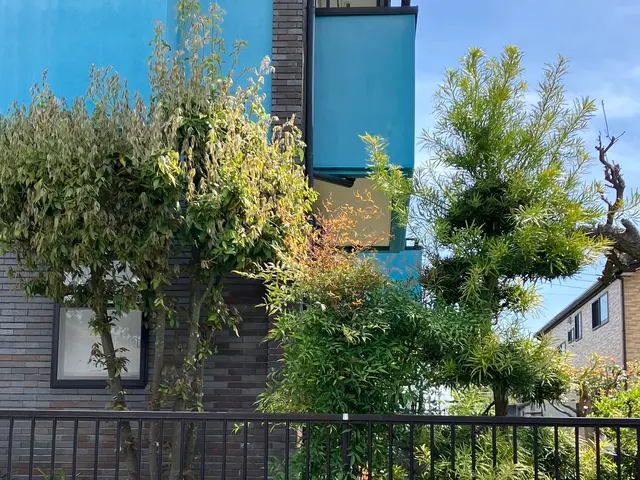 伸びすぎた木や枝、スッキリと。サービスの画像