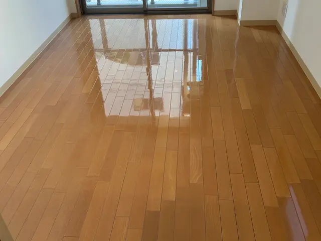 ☆空室ハウスクリーニング☆じっくり腰を据えて洗浄させていただきます★サービスの画像