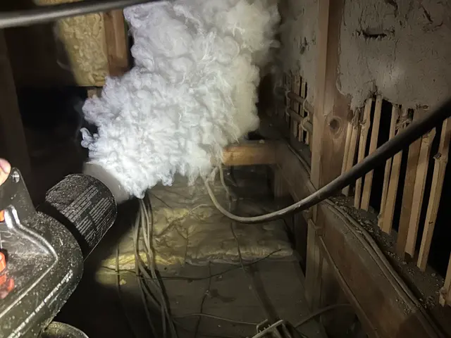 害獣駆除ハクビシン・アライグマ・イタチ　【対応地域外も相談OK】全面施工で再発0サービスの画像