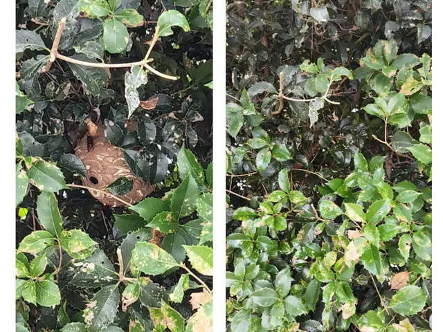 ◎国家資格【防除作業監督者資格有】◎営業時間外・対応地域外でもご要望お聞きしますサービスの画像