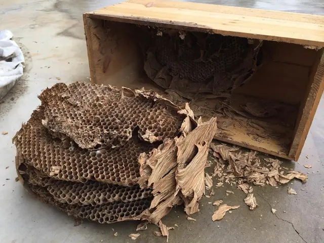 ◎国家資格【防除作業監督者資格有】◎営業時間外・対応地域外でもご要望お聞きしますサービスの画像