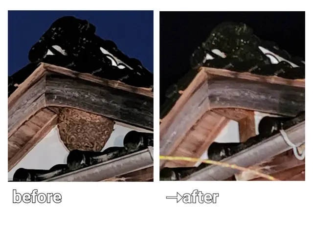 ◎国家資格【防除作業監督者資格有】◎営業時間外・対応地域外でもご要望お聞きしますサービスの画像