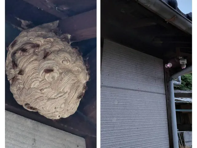 ◎国家資格【防除作業監督者資格有】◎営業時間外・対応地域外でもご要望お聞きしますサービスの画像