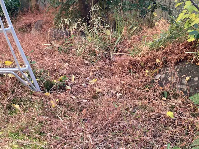 ＜業界35年！年中無休！＞駐車場代は当店負担◎作業外注なし、100％自社対応！サービスの画像